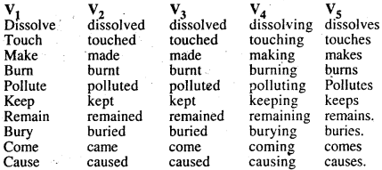 Bihar Board Class 10 English Book Solutions Poem 3 Polythene Bag 1