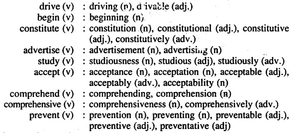 Bihar Board Class 11 English Book Solutions Chapter 5 The Scientific Point of View 4