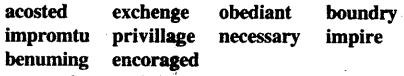 Bihar Board Class 11 English Book Solutions Chapter 6 I Pass the Delhi Test 1