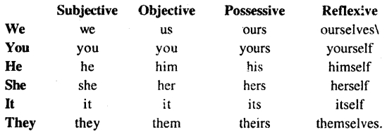Three Years She Grew Line By Line Explanation Bihar Board Class 11
