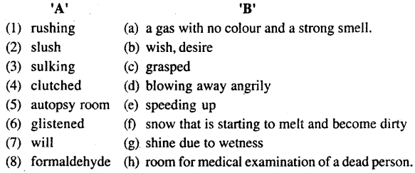Bihar Board Class 11 English Book Solutions Poem 9 Voice of the Unwanted Girl 1