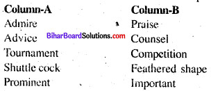 Bihar Board Class 6 English Book Solutions Chapter 6 Saina Nehwal The Badminton Star 2