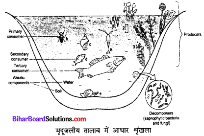 Bihar Board 12th Biology Model Question Paper 1 in Hindi 4