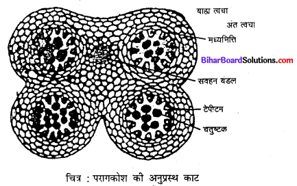 Bihar Board 12th Biology Model Question Paper 2 in Hindi 3