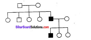 Bihar Board 12th Biology Objective Answers Chapter 5 वंशागति और विविधता के सिध्दांत 1