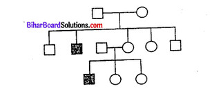 Bihar Board 12th Biology Objective Answers Chapter 5 वंशागति और विविधता के सिध्दांत 2