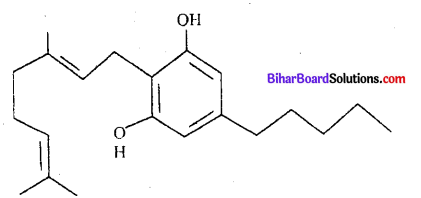 Bihar Board 12th Biology Objective Answers Chapter 8 मानव स्वास्थ्य तथा रोग 1