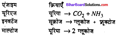 Bihar Board 12th Chemistry Model Question Paper 1 in Hindi - 2