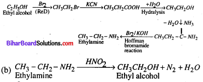Bihar Board 12th Chemistry Model Question Paper 4 in English Medium 11