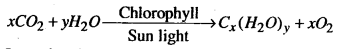 Bihar Board 12th Chemistry Model Question Paper 4 in English Medium 16