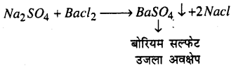 Bihar Board 12th Chemistry Model Question Paper 4 in Hindi - 13