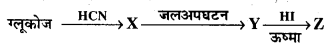 Bihar Board 12th Chemistry Objective Answers Chapter 14 जैव-अणु 1