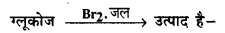 Bihar Board 12th Chemistry Objective Answers Chapter 14 जैव-अणु 2