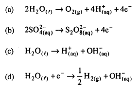 Bihar Board 12th Chemistry Objective Answers Chapter 3 Electrochemistry 14