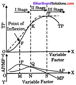 Bihar Board 12th Economics Model Question Paper 1 in English Medium 3