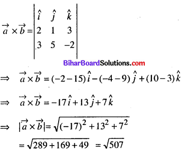 Bihar Board 12th Maths Model Question Paper 3 in English Medium - 20