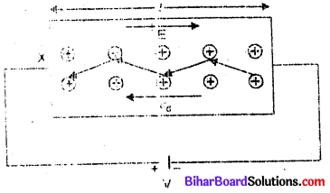Bihar Board 12th Physics Model Question Paper 2 in English Medium 20