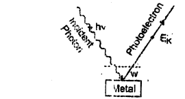 Bihar Board 12th Physics Model Question Paper 3 in English Medium 23