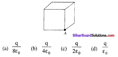 Electric Charges And Fields Important Questions Bihar Board