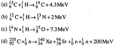 Bihar Board 12th Physics Objective Answers Chapter 13 Nuclei in english medium 1