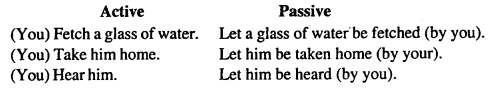 Bihar Board Class 11 English Grammar Active and Passive Voice 5