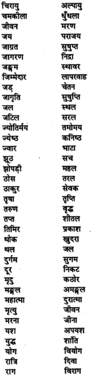 Bihar Board Class 11th Hindi व्याकरण पर्यायवाची शब्द 4