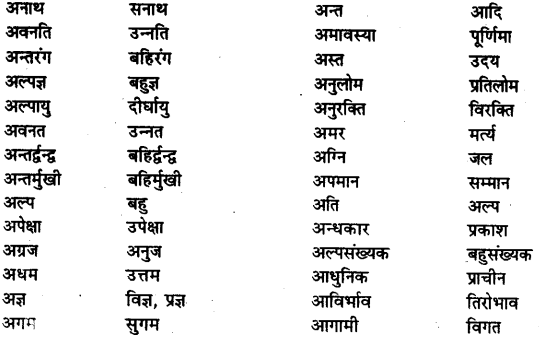Bihar Board Class 12th Hindi व्याकरण विलोम या विपरीतार्थक शब्द 1