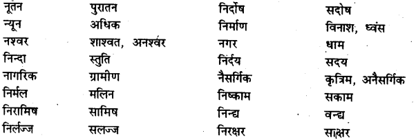 Bihar Board Class 12th Hindi व्याकरण विलोम या विपरीतार्थक शब्द 10