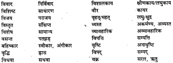 Bihar Board Class 12th Hindi व्याकरण विलोम या विपरीतार्थक शब्द 15