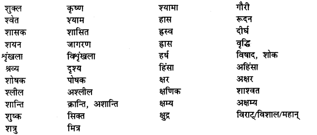 Bihar Board Class 12th Hindi व्याकरण विलोम या विपरीतार्थक शब्द 19