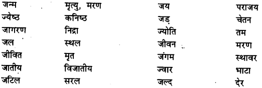 Bihar Board Class 12th Hindi व्याकरण विलोम या विपरीतार्थक शब्द 8
