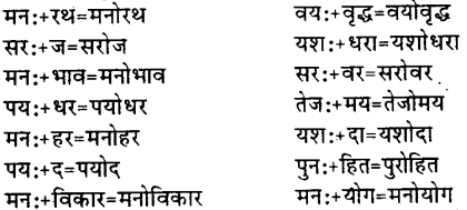 Bihar Board Class 12th Hindi व्याकरण संधि 11
