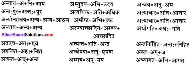 Bihar Board Class 12th Hindi व्याकरण संधि 12