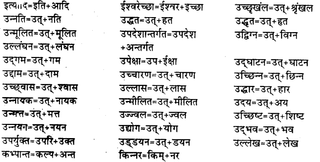 Bihar Board Class 12th Hindi व्याकरण संधि 13
