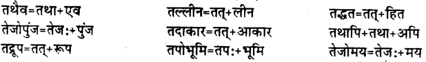 Bihar Board Class 12th Hindi व्याकरण संधि 14