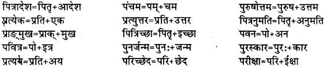 Bihar Board Class 12th Hindi व्याकरण संधि 18