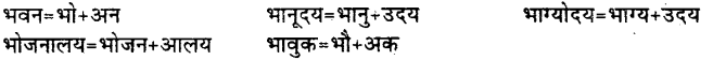 Bihar Board Class 12th Hindi व्याकरण संधि 19