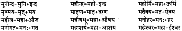 Bihar Board Class 12th Hindi व्याकरण संधि 20