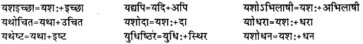 Bihar Board Class 12th Hindi व्याकरण संधि 21