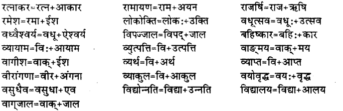 Bihar Board Class 12th Hindi व्याकरण संधि 22