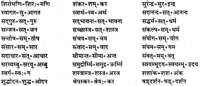 Bihar Board Class 12th Hindi व्याकरण संधि 23