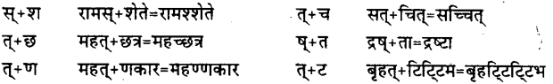 Bihar Board Class 12th Hindi व्याकरण संधि 8