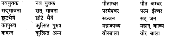 Bihar Board Class 12th Hindi व्याकरण समास 12