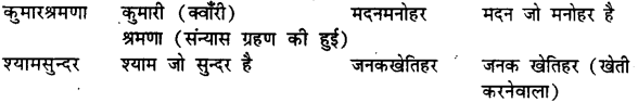 Bihar Board Class 12th Hindi व्याकरण समास 13