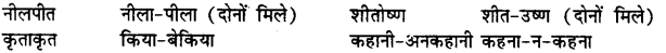 Bihar Board Class 12th Hindi व्याकरण समास 14