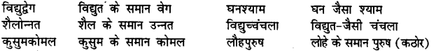 Bihar Board Class 12th Hindi व्याकरण समास 15