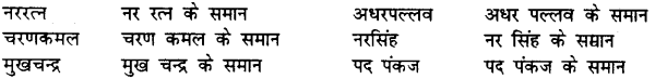 Bihar Board Class 12th Hindi व्याकरण समास 16