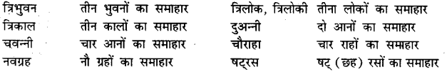 Bihar Board Class 12th Hindi व्याकरण समास 18