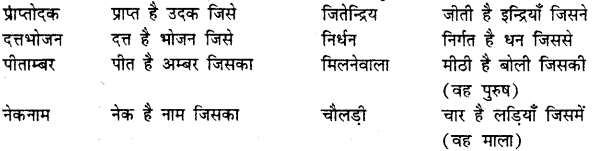 Bihar Board Class 12th Hindi व्याकरण समास 21