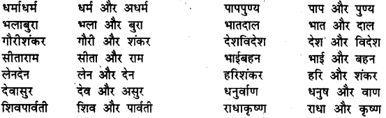 Bihar Board Class 12th Hindi व्याकरण समास 26